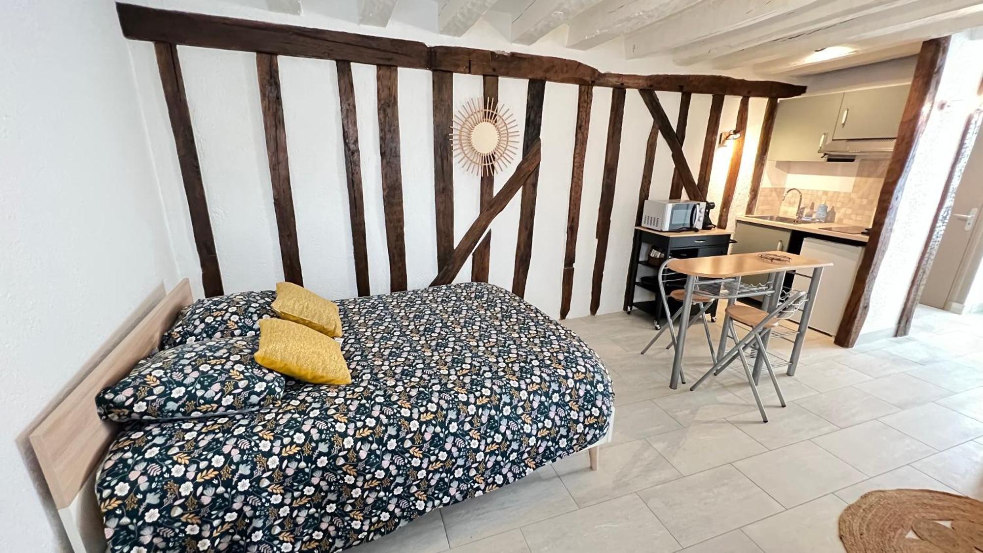 Le Logis De La Tour Διαμέρισμα Αμπουάζ Εξωτερικό φωτογραφία