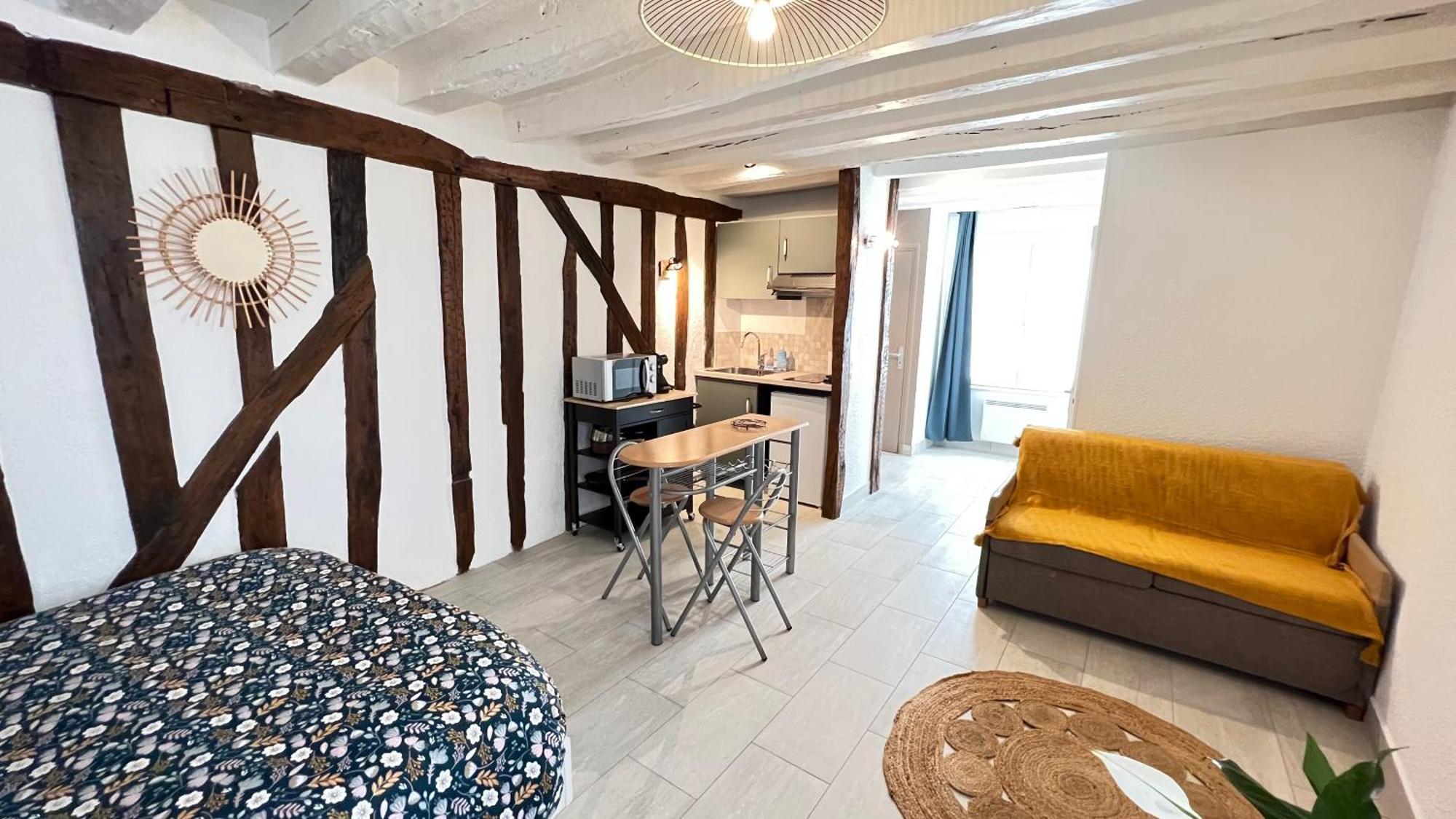 Le Logis De La Tour Διαμέρισμα Αμπουάζ Εξωτερικό φωτογραφία